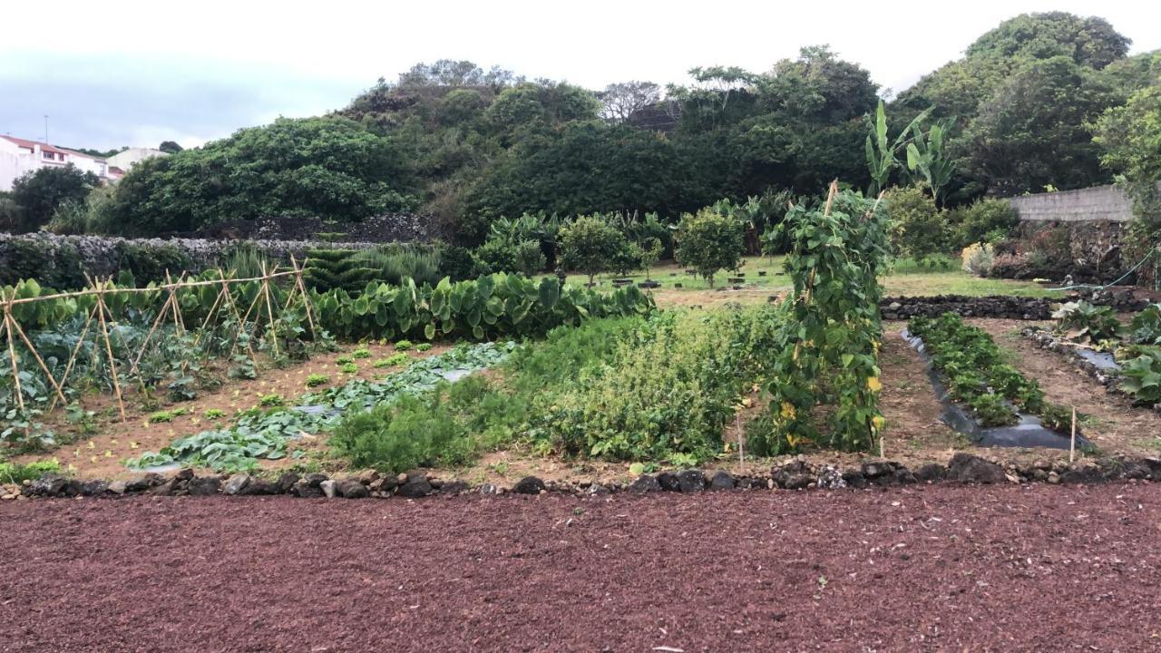 Casa Da Malta Villa Livramento Eksteriør billede
